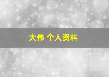 大伟 个人资料